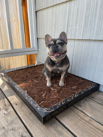Bark Potty: All Natural Pee Pad