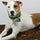 Odor Control Strategies for Natural Bark Potty Pads: Tips & Tricks