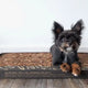 Bark-Based Pee Pads: A Sustainable Solution for Urban Potty Training