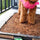 Bark Potty Subscription: The Low-Maintenance Potty Box Dog Owners Love