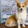 Bark Potty Subscription: The Low-Maintenance Potty Box Dog Owners Love