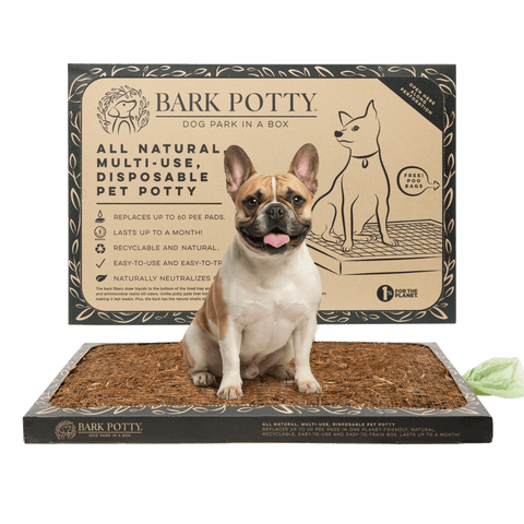 A French bulldog sitting on a large 20x30 Bark Potty disposable dog potty pad next to its packaging.