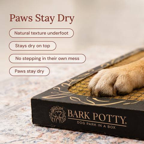 Indoor puppy potty close-up of paw on natural bark surface, stays-dry feature callout.