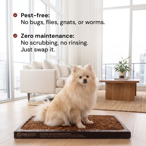 The Litter Box for Dogs - Large