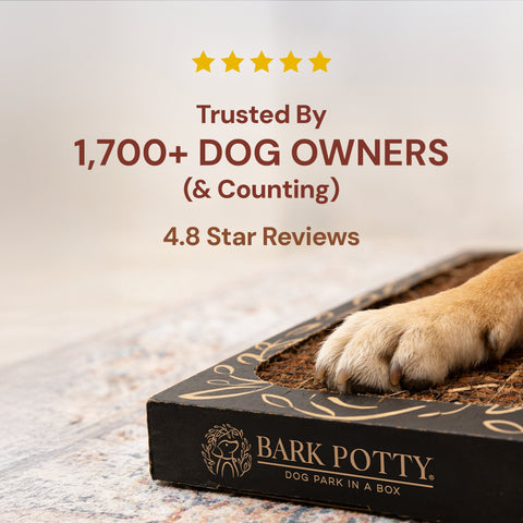 The Litter Box for Dogs - Large