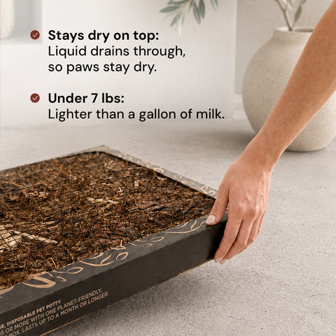 The Litter Box for Dogs - Large