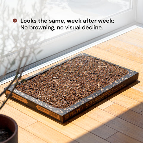 The Litter Box for Dogs - Large