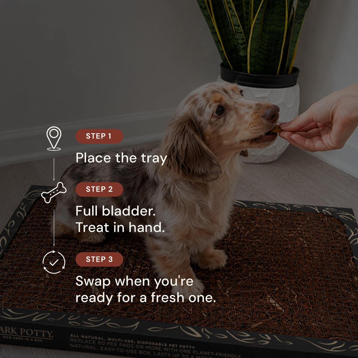 Bark Potty 8