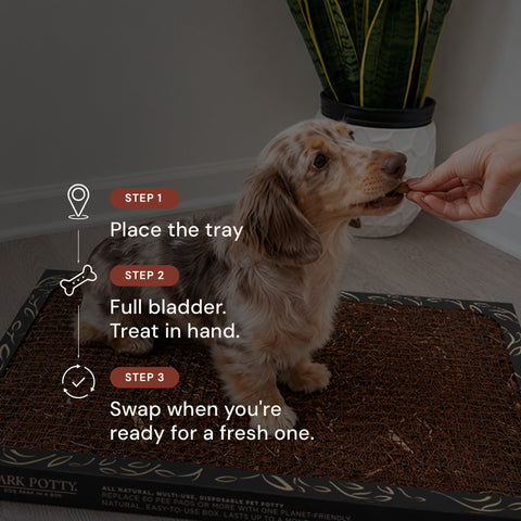 The Litter Box for Dogs - Large