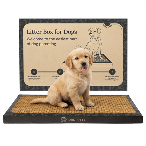Puppy potty training pad with golden retriever puppy on bark tray beside Litter Box for Dogs packaging.