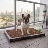 A French bulldog standing on a Bark Potty bark potty pad on a high-rise balcony with a city skyline behind.