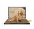 A golden retriever sitting on a standard Bark Potty dog potty pad next to the product packaging.