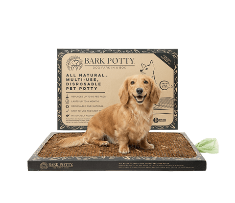 A golden retriever sitting on a standard Bark Potty dog potty pad next to the product packaging.