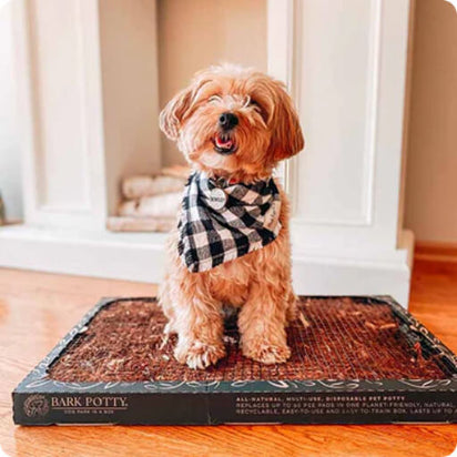 Dog sitting on a Bark Potty mat indoors