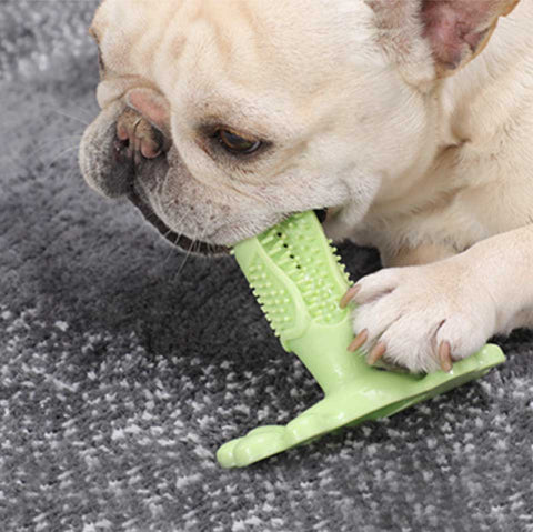 Squeaky Clean Chew Toy